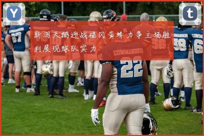 新泻天鹅迎战福冈黄蜂力争主场胜利展现球队实力