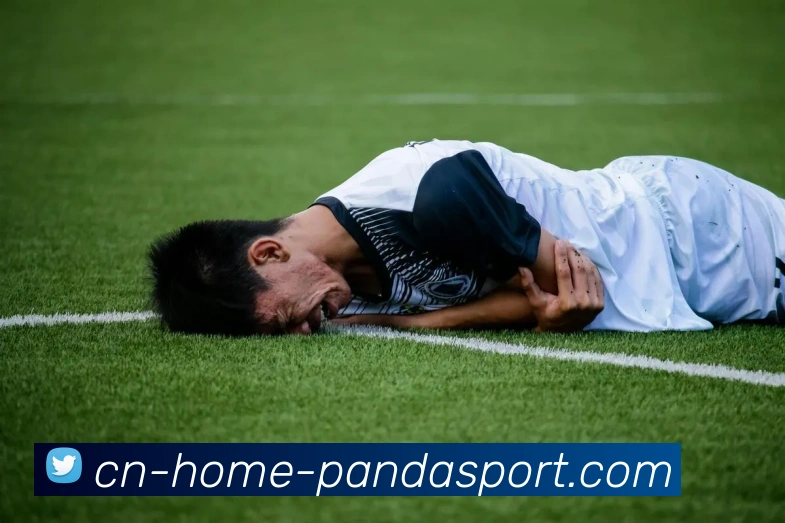 熊猫体育发展历程